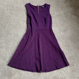 The Limited Purple Dress
